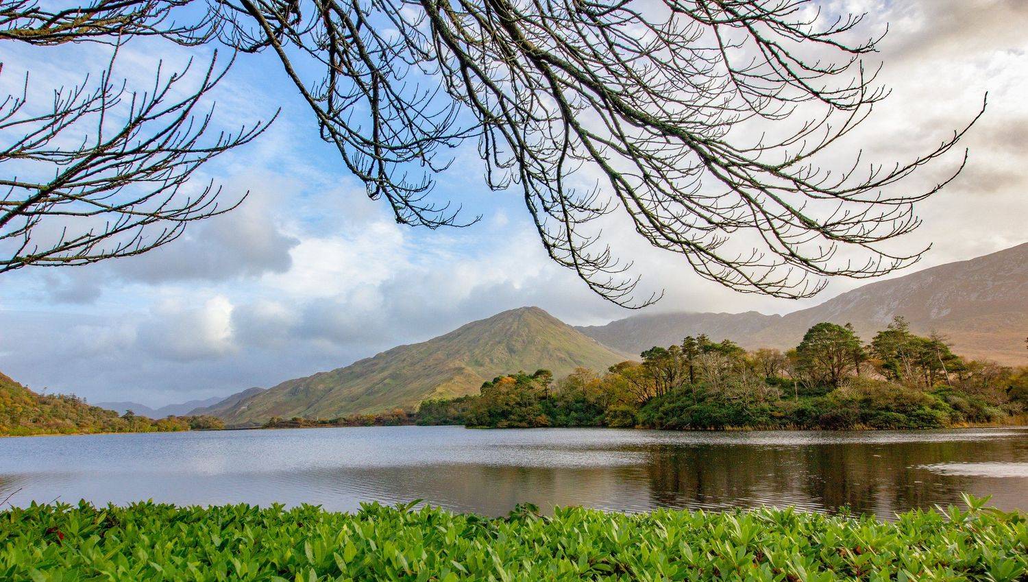 , Юрий Чернов