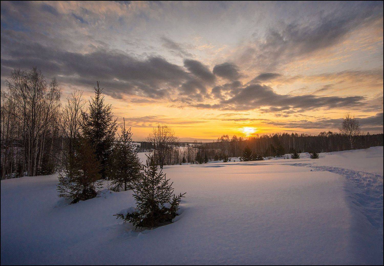 , Александр  Швачко