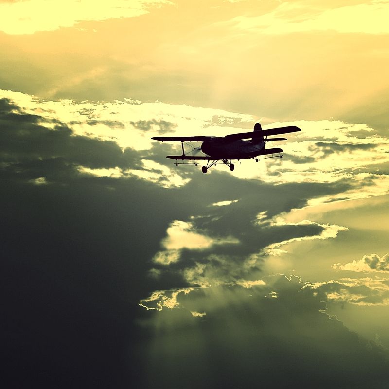 Sunset flying фото превью