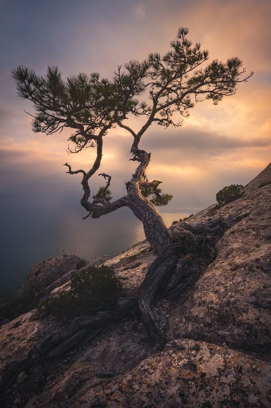 Крым фото превью