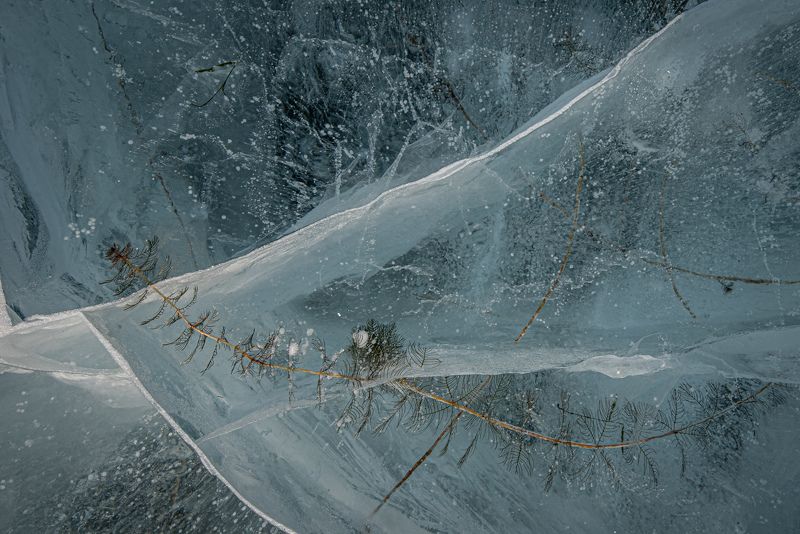 природа, лед застывшая грация фото превью