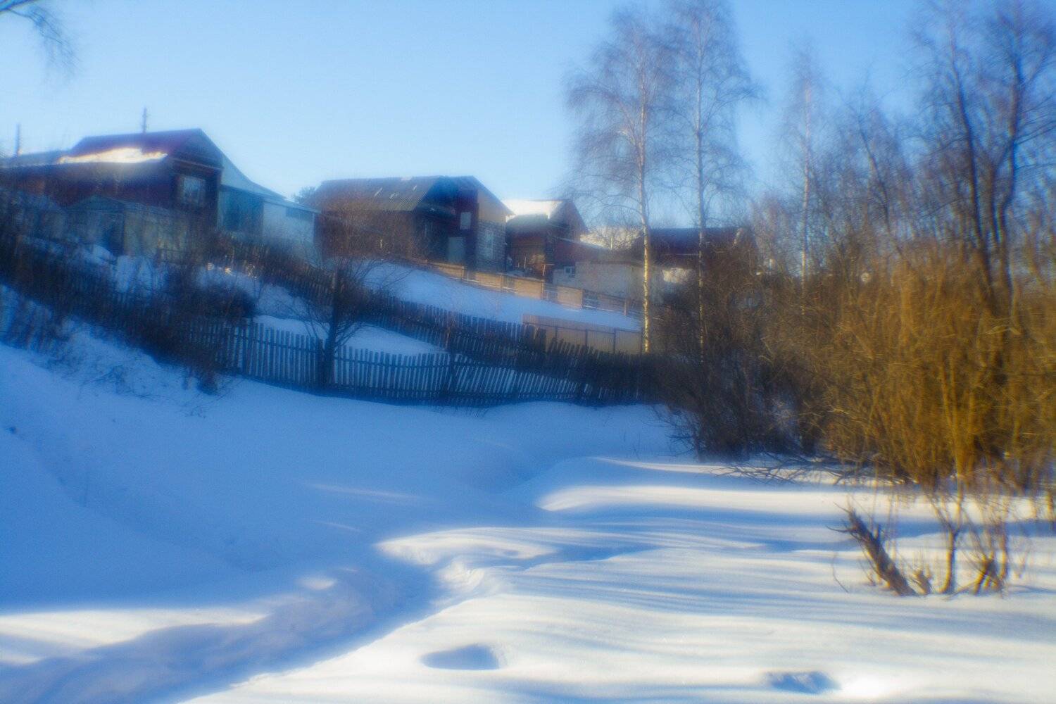 , Лариса Лофицкая