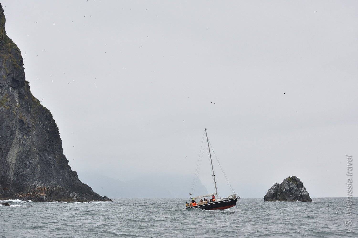 Камчатка, экспедиция, шагнивнеизведанное, путешествие, яхта, опасность, скалы, прибой, волны, тюлень, Владимир Столяров