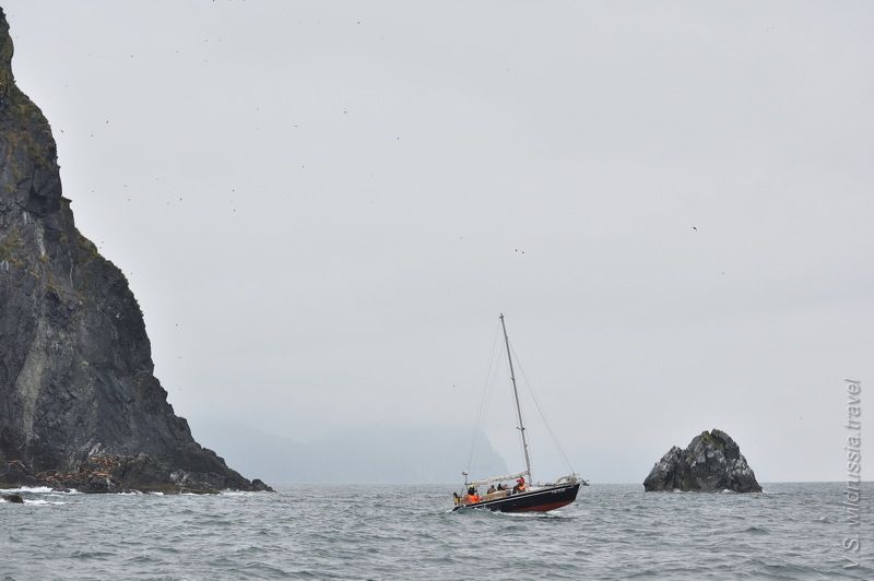 Камчатка, экспедиция, шагнивнеизведанное, путешествие, яхта, опасность, скалы, прибой, волны, тюлень Яхтенная экспедиция на Северные Курилы (из альбома, август 2020 г) фото превью