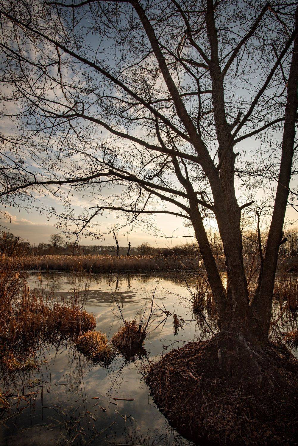 , Чистаев Александр