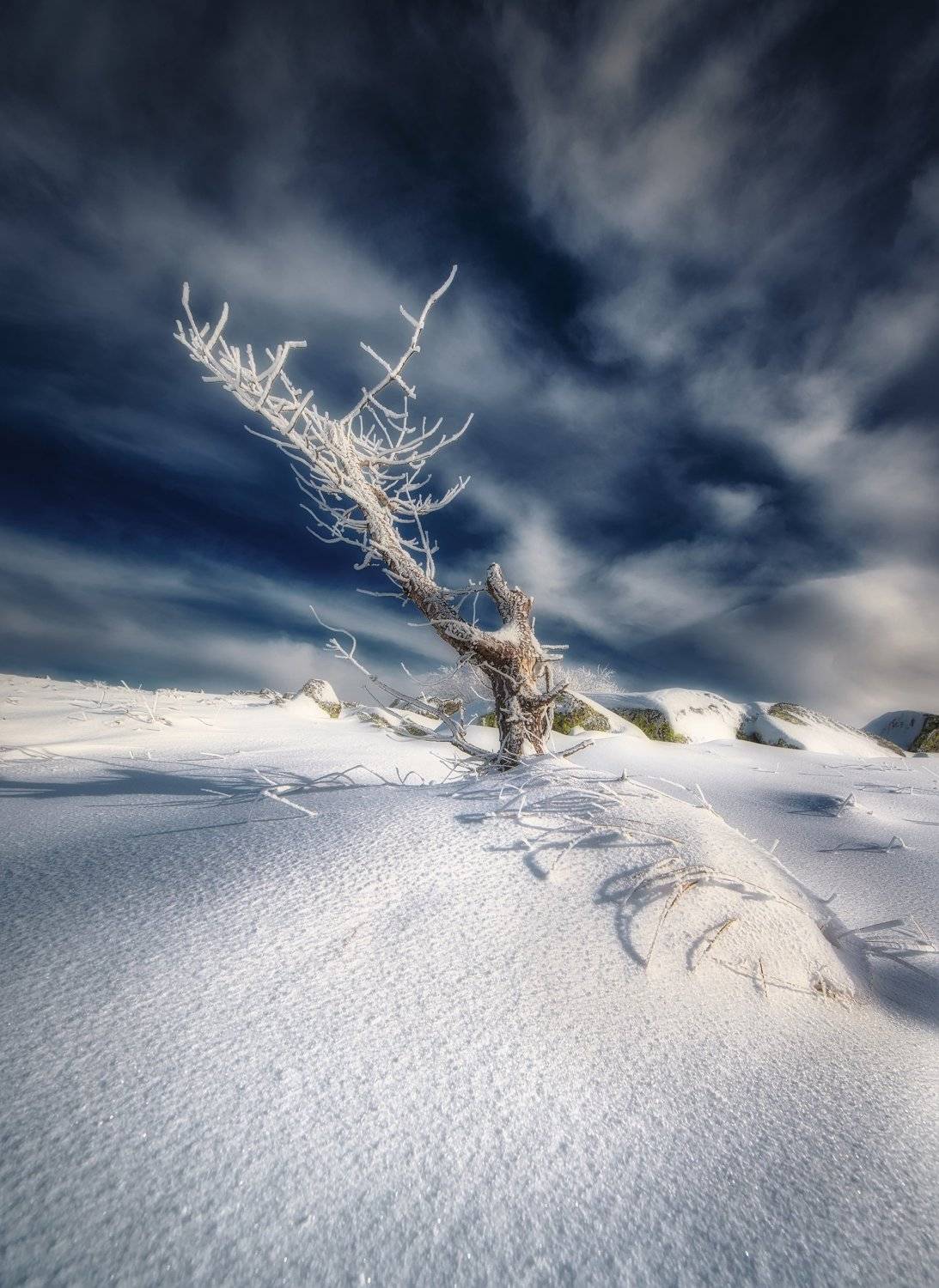 , Radoslav Sviretsov