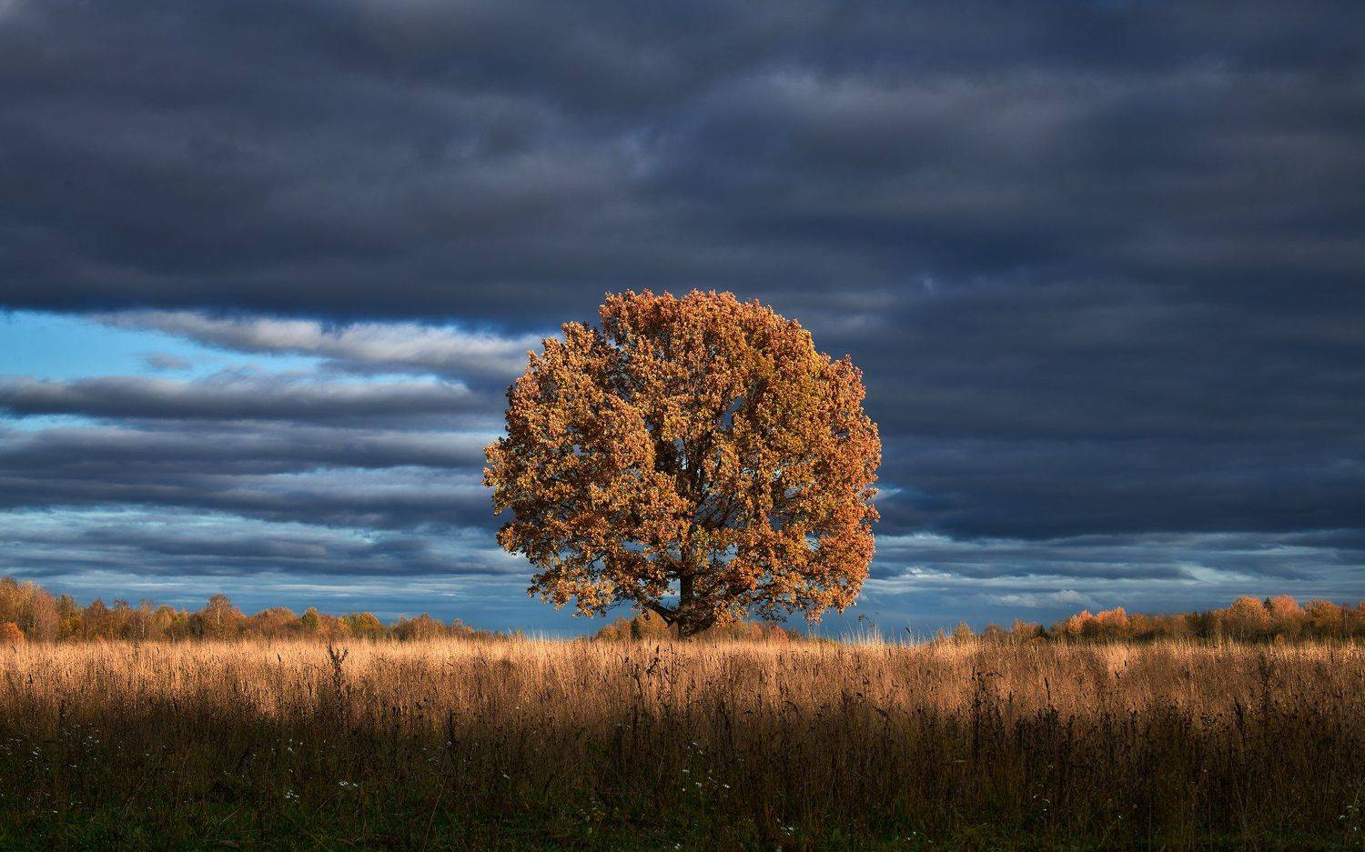 , Антон Кононов