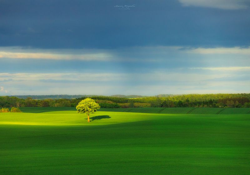 W blasku ... фото превью