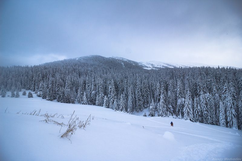 карпати, свидовець, карпаты, украина, татул, татульський грунь Топтать молча фото превью