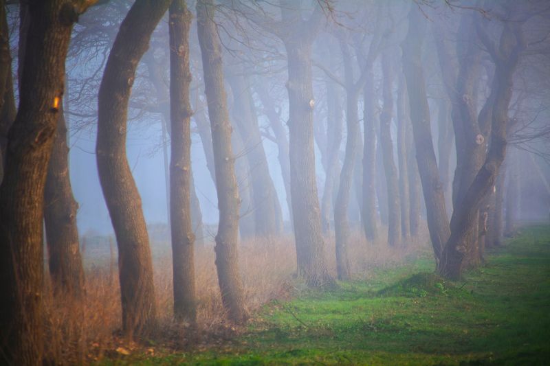 Мгла фото превью