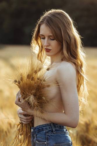 Golden fields