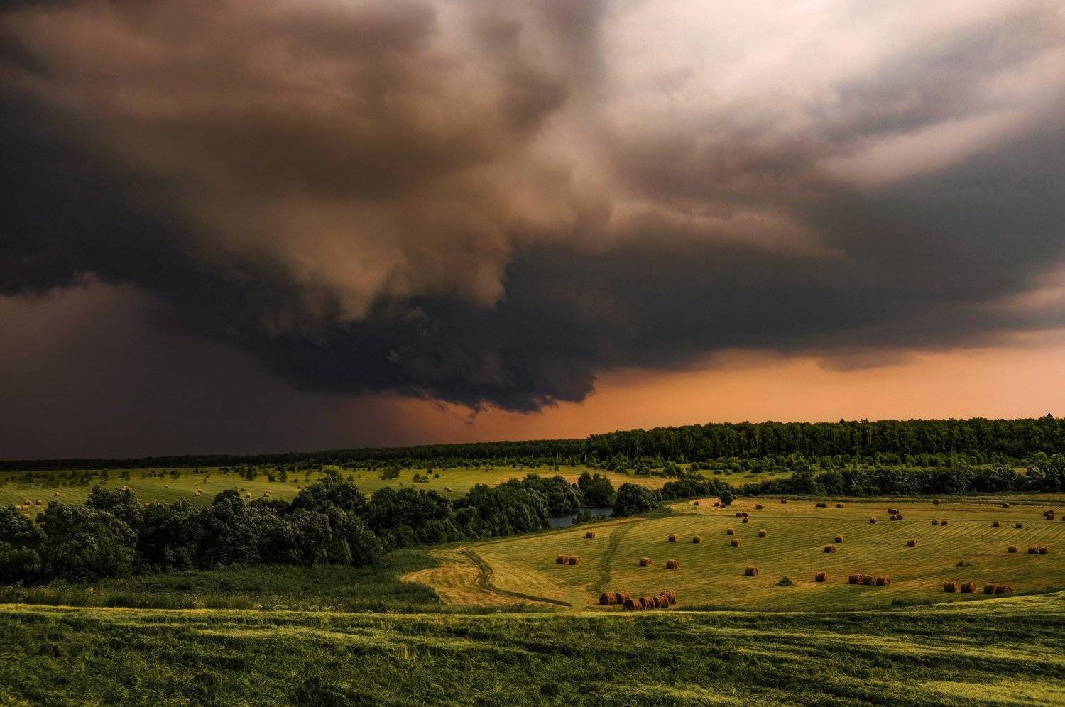 , Екатерина