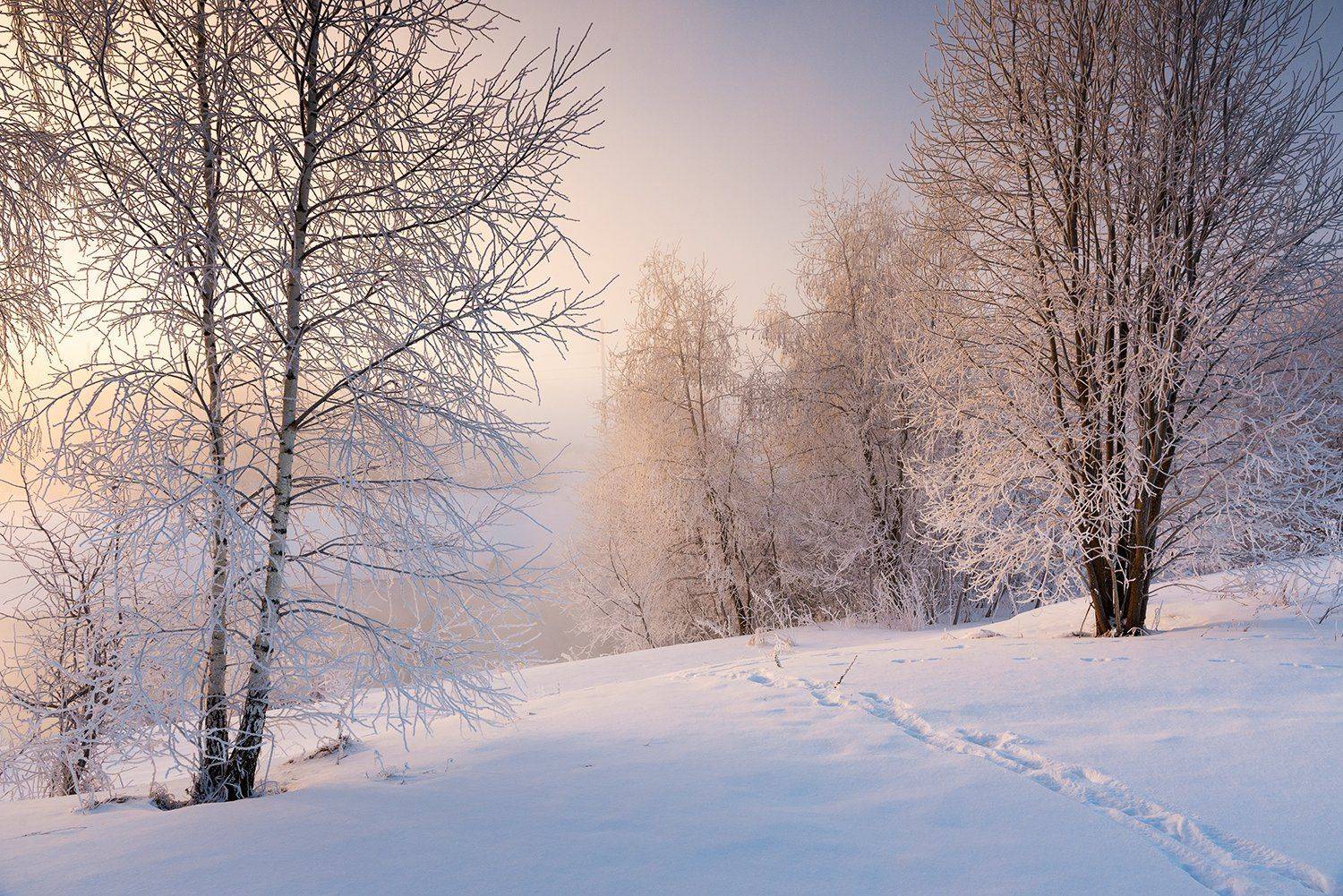 , Дмитрий Асеев