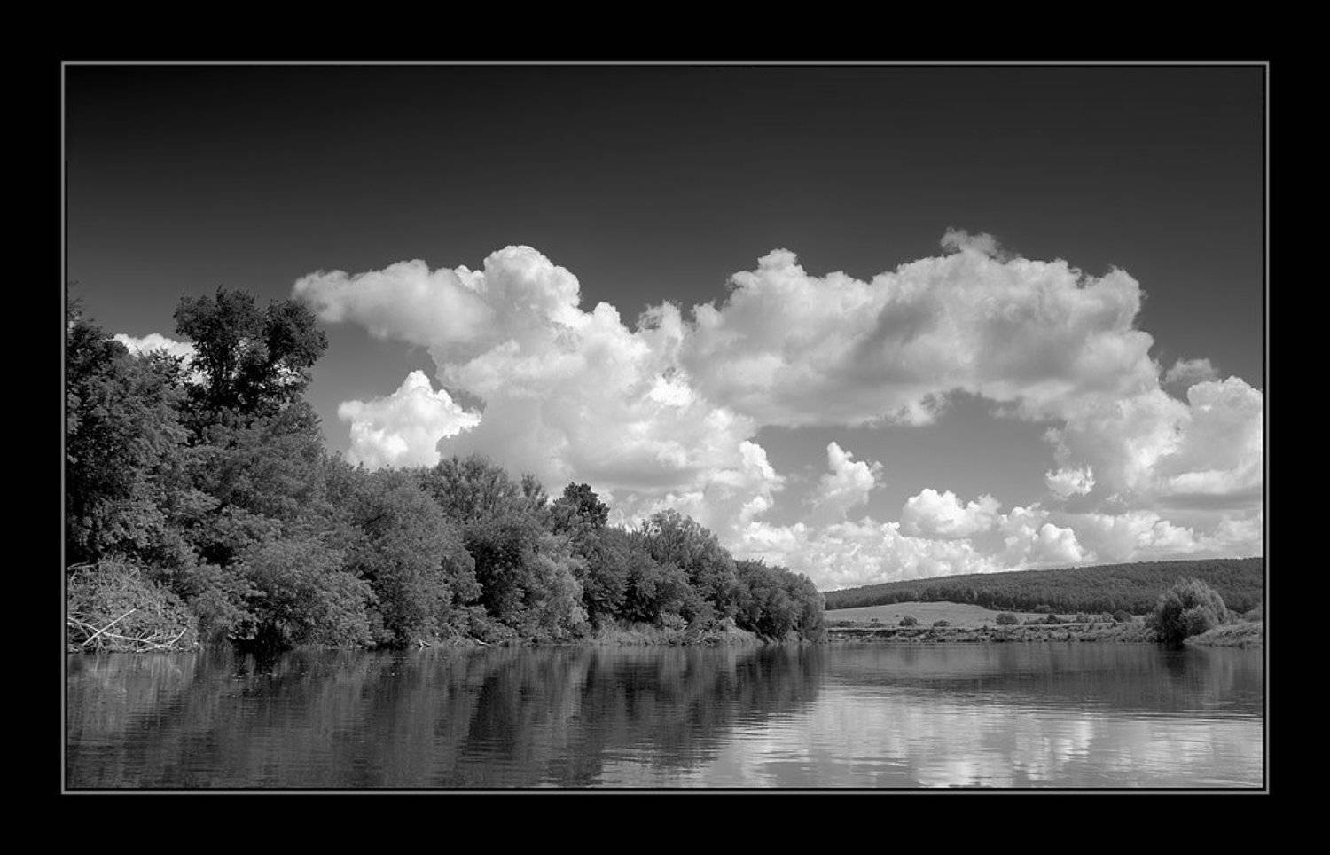 лето, река, чб, Капустин Николай