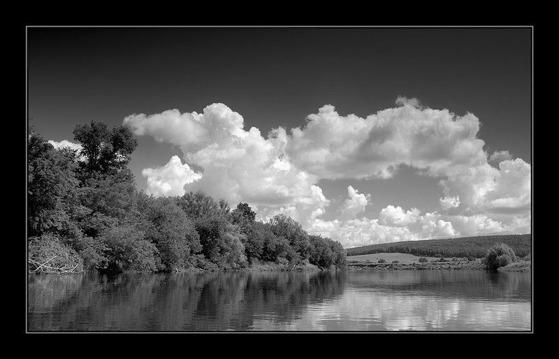 лето, река, чб *** фото превью