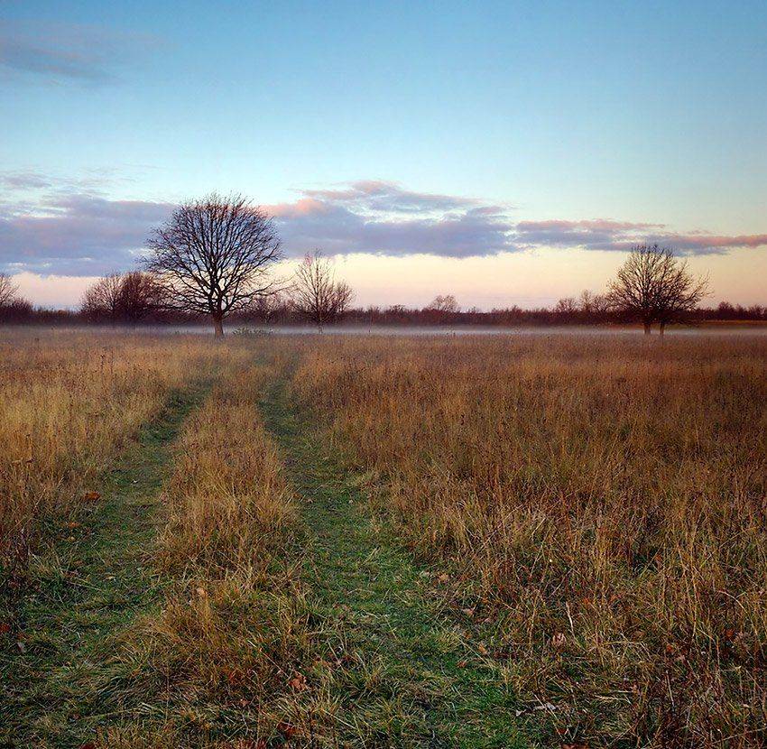утро, туман, деревня, Ildar