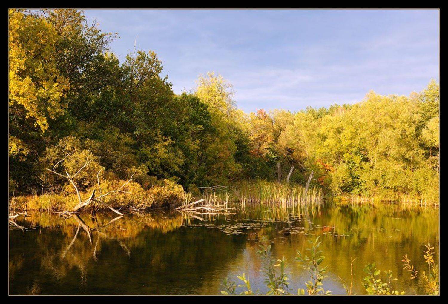 ахуны, перед, грозой, Сергей Дужников