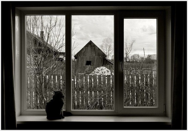 ...out of the window... фото превью