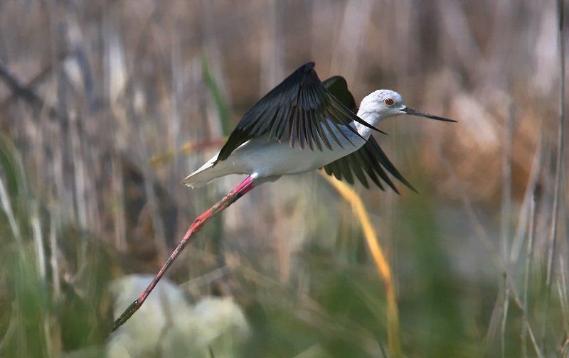 На взлет фото превью