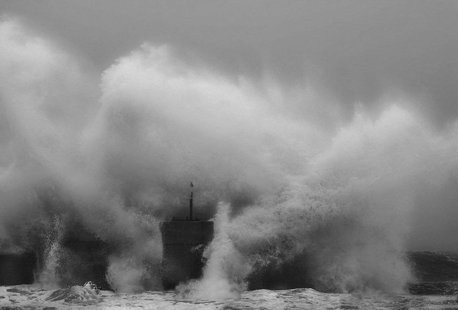 , Владимир Кучеренко