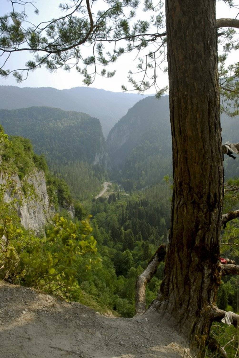 абхазия, страна души, Sergey Tarba