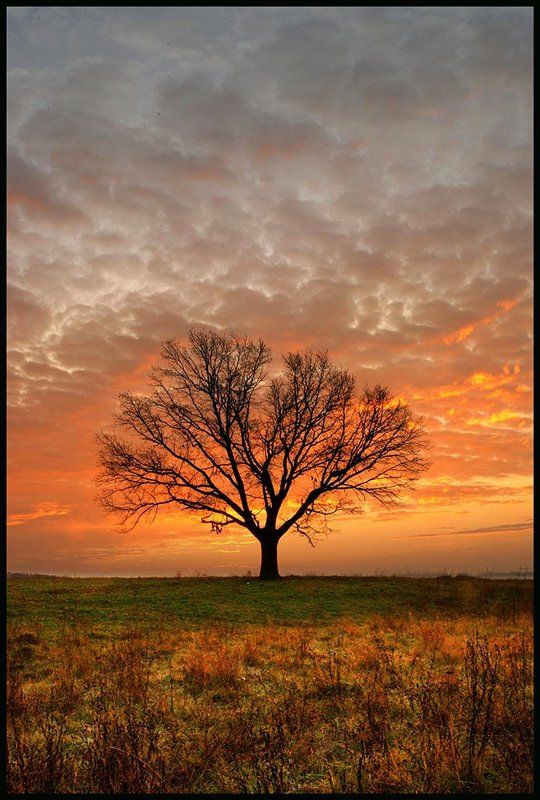 * * * фото превью