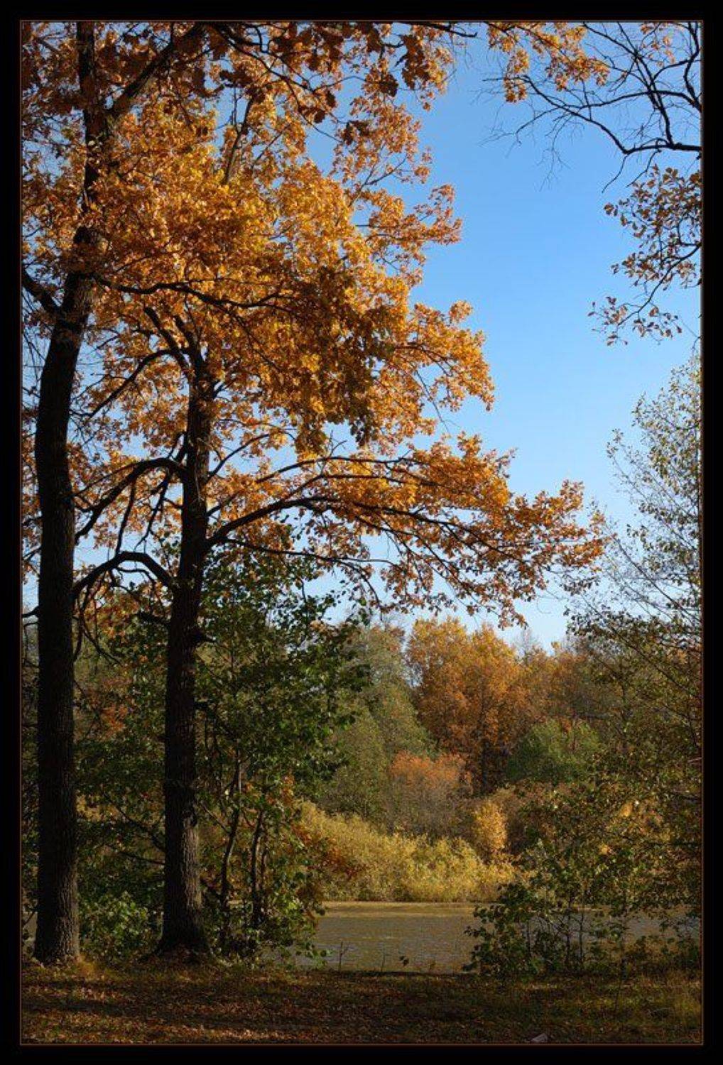 ***, Сергей Дужников