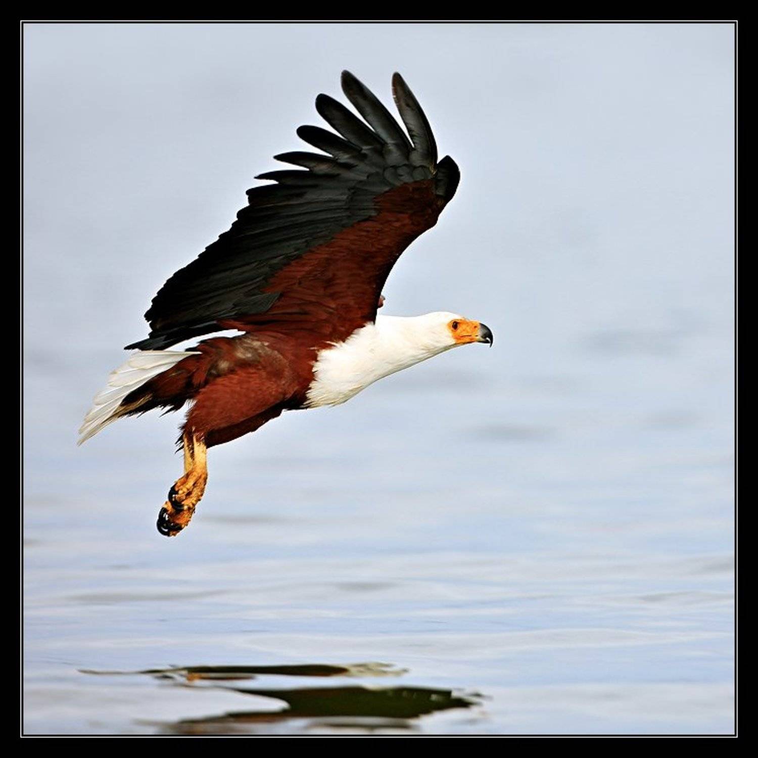 , Марина Кочетова