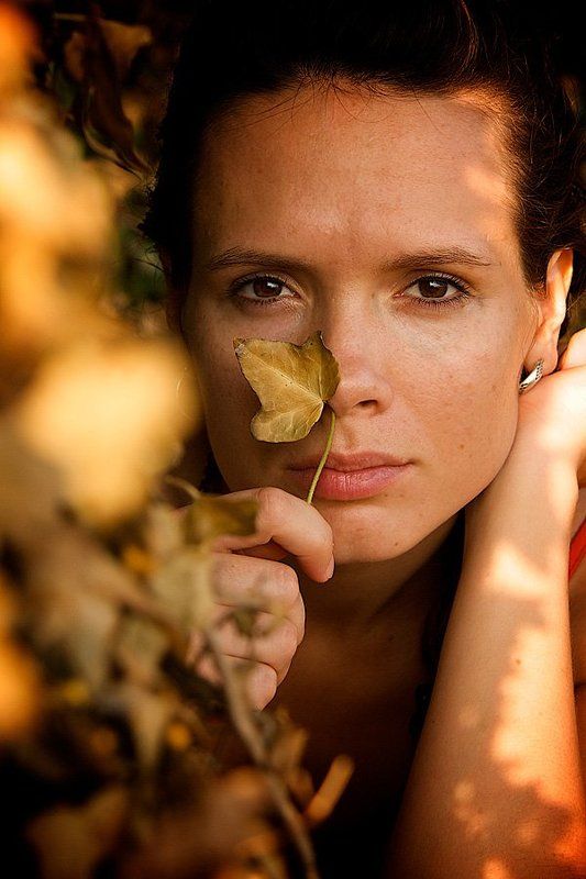 осень, плющ, настроение осенняя... фото превью