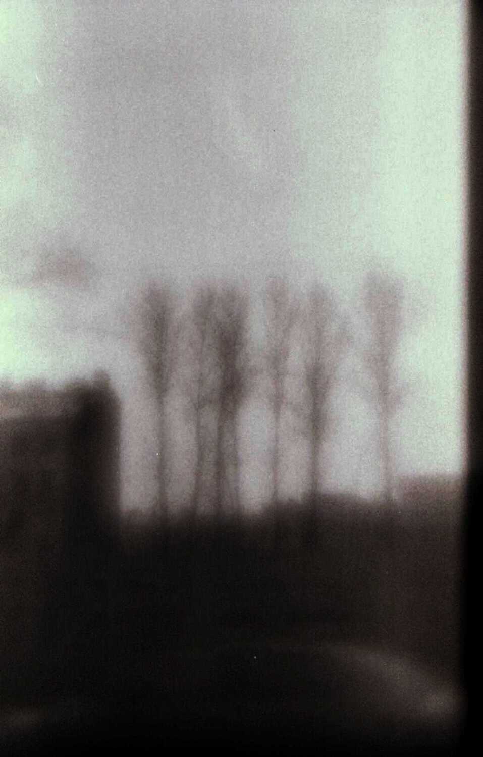 just_sky, Deep in Violet