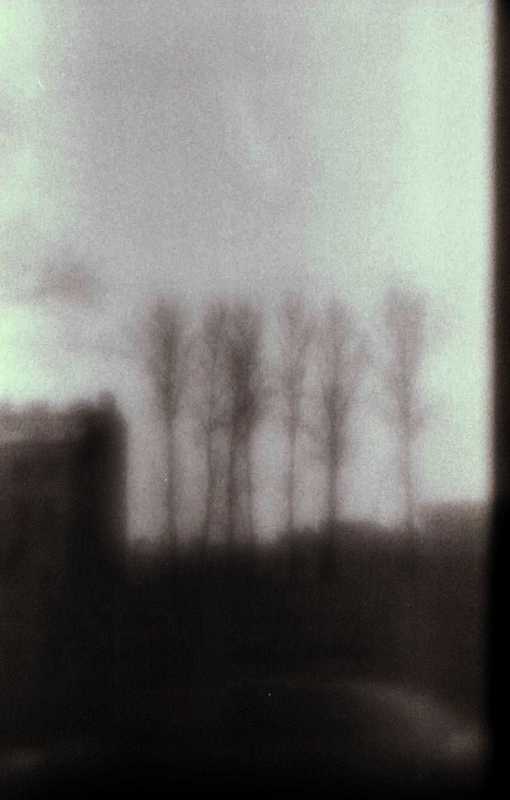 just_sky  фото превью