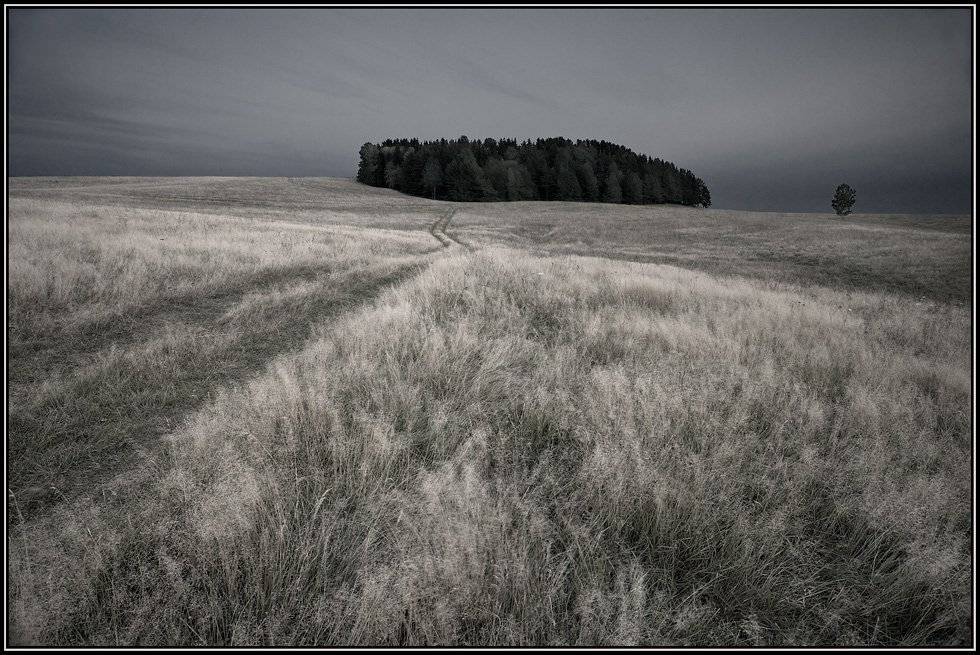 дорога, izh Diletant (Валерий Щербина)