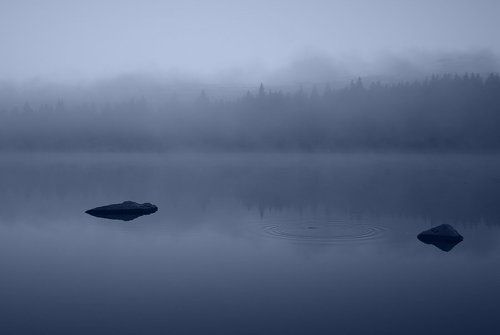 Осеннее утро