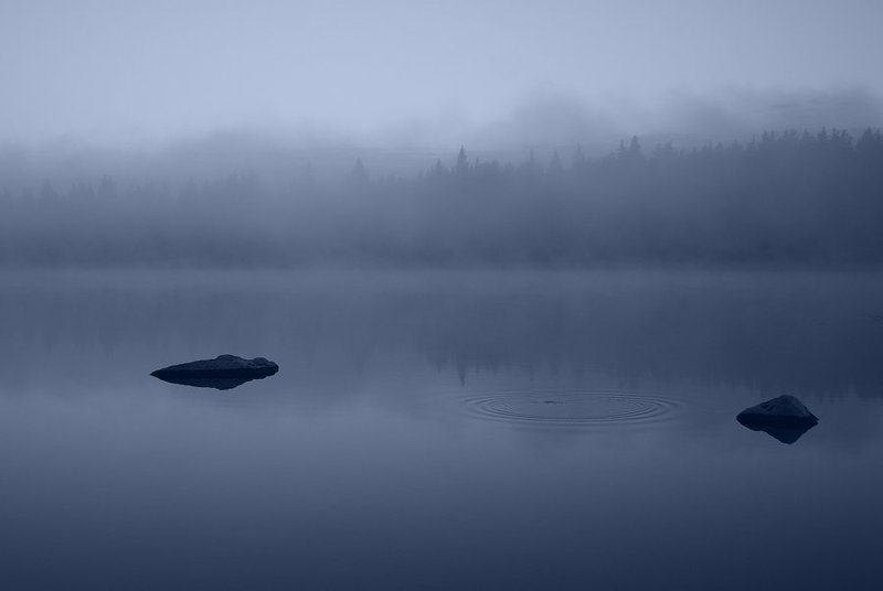 осень, утро, туман Осеннее утро фото превью