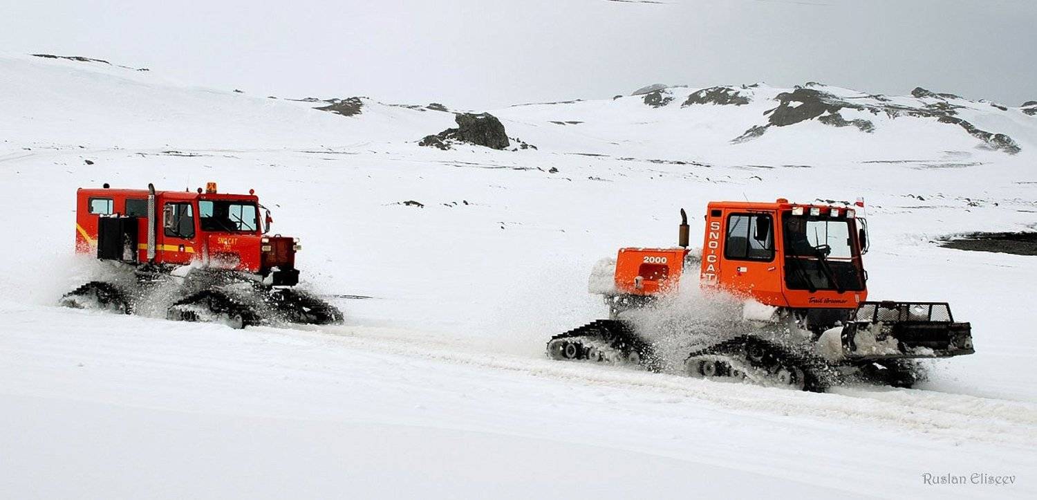 snou cat, антаркткика., Руслан Елисеев