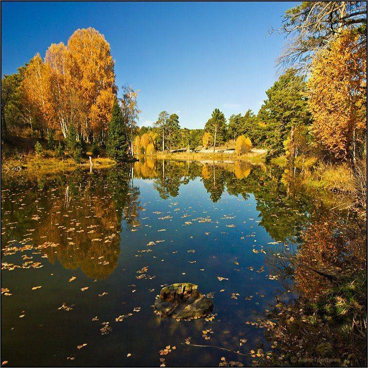 алтай, горная, колывань, пруд, поселок 8 марта, осень, золотая, аня, графова, Аня Графова