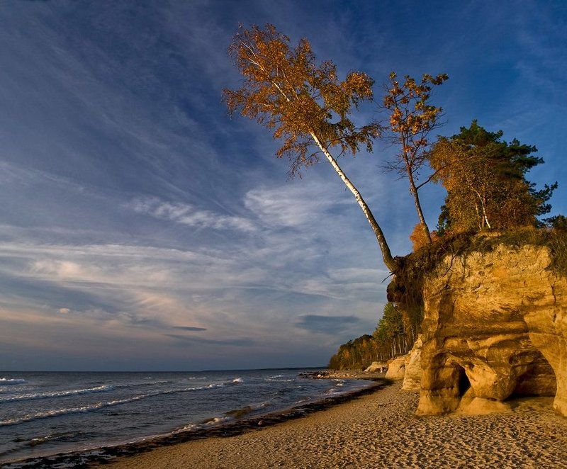 На краю фото превью