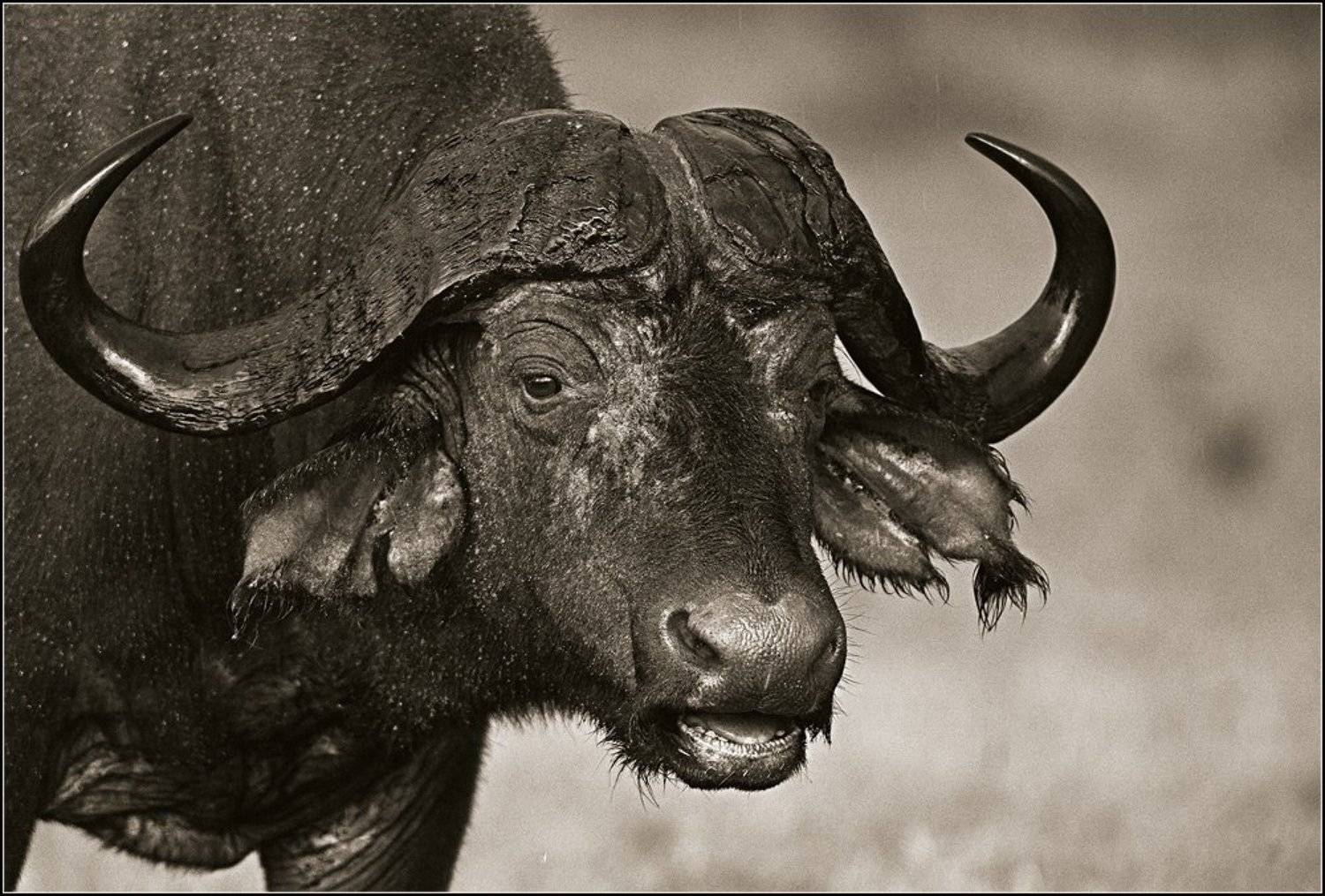 , Марина Кочетова