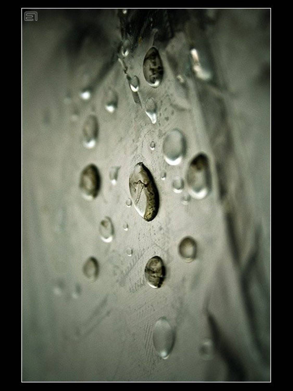 капли, вода, Евгений Павленко