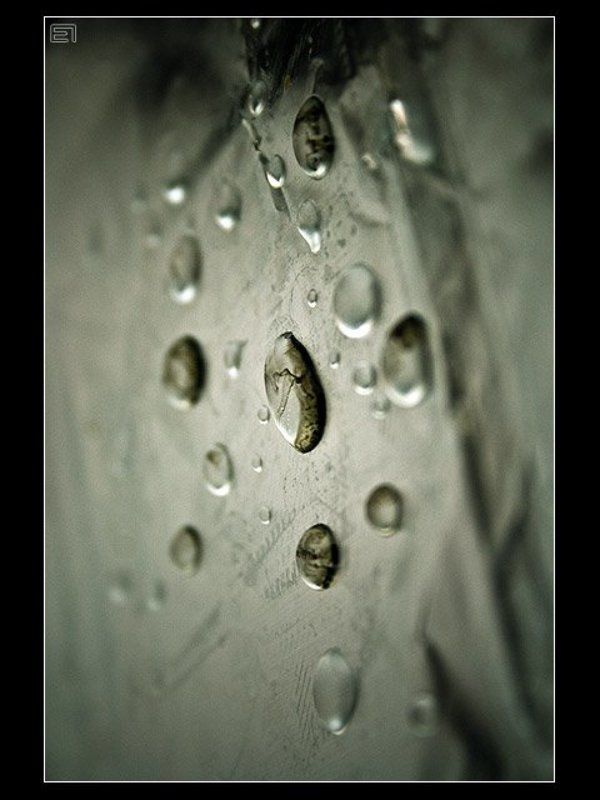 капли, вода Капли-2 фото превью
