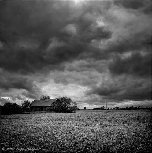 Autumn with no colors....