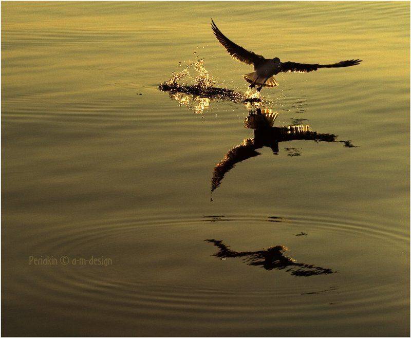 , Виктор Перякин