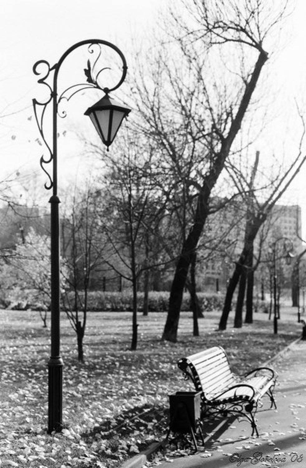 фото, город, фонарь, пленка, чб, Olga Gorelova