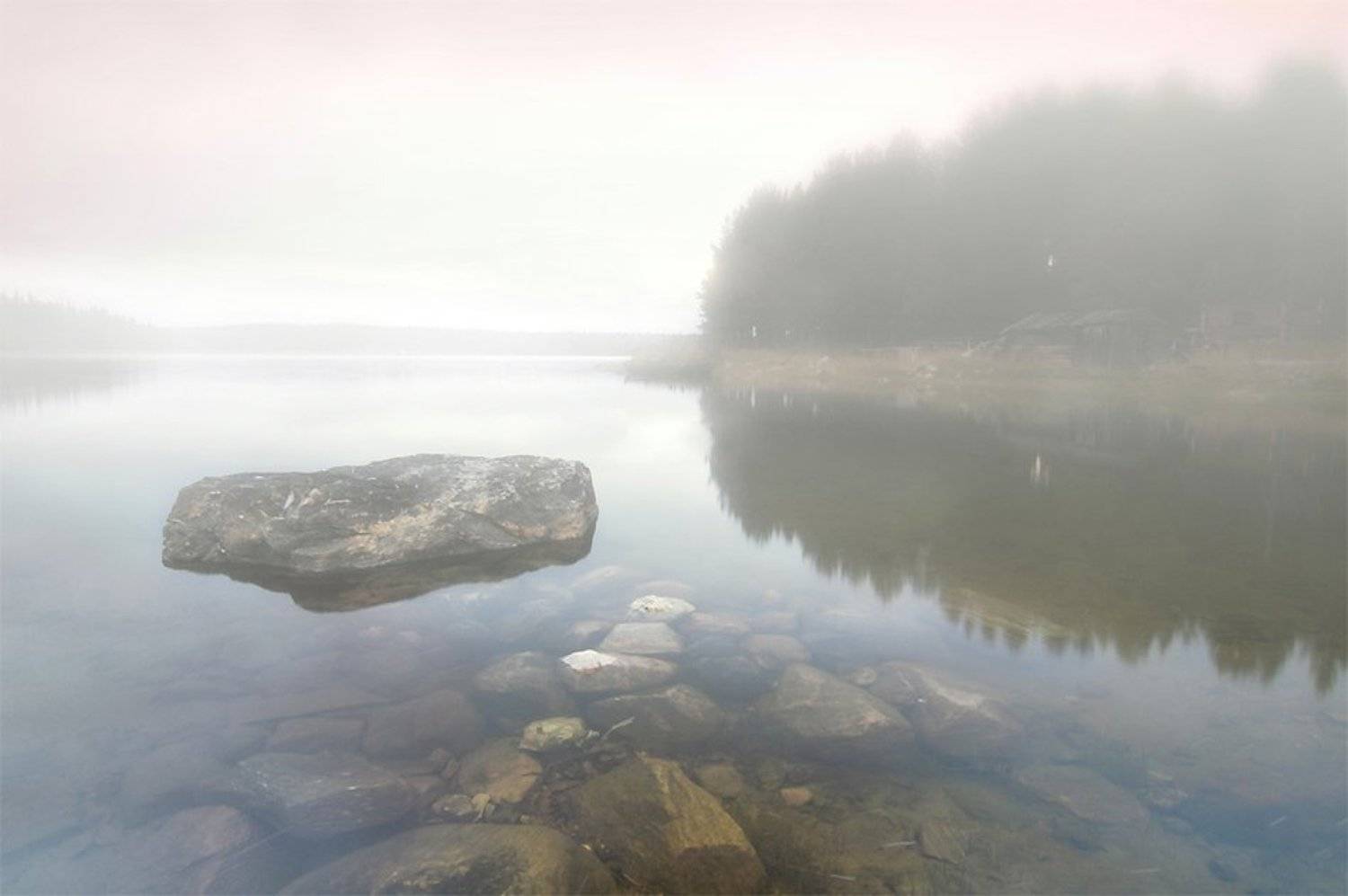 , Токарь Дмитрий