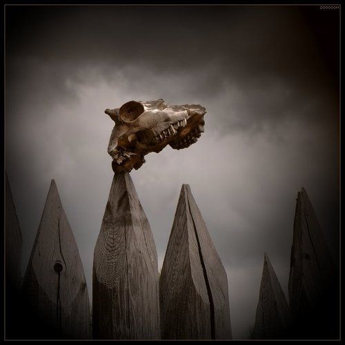 Добро пожаловать в Сказку!