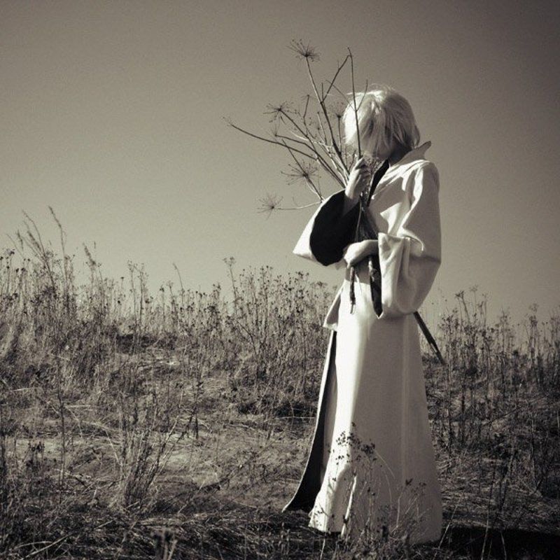 сено  фото превью