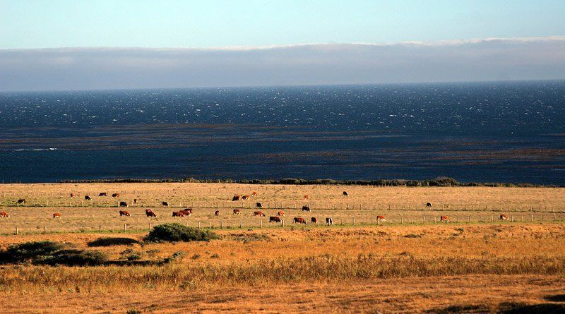 Pacific Coast Hiway фото превью