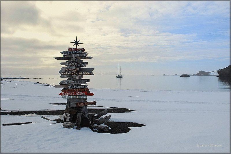 антарктика, беллинсгаузен, яхта, бухта ардли. Весеннее утро... фото превью