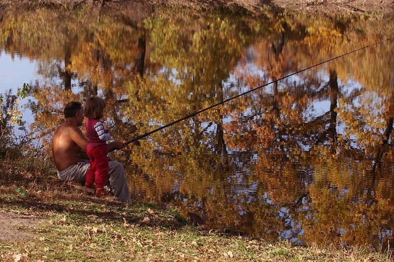 Осенняя палитра фото превью
