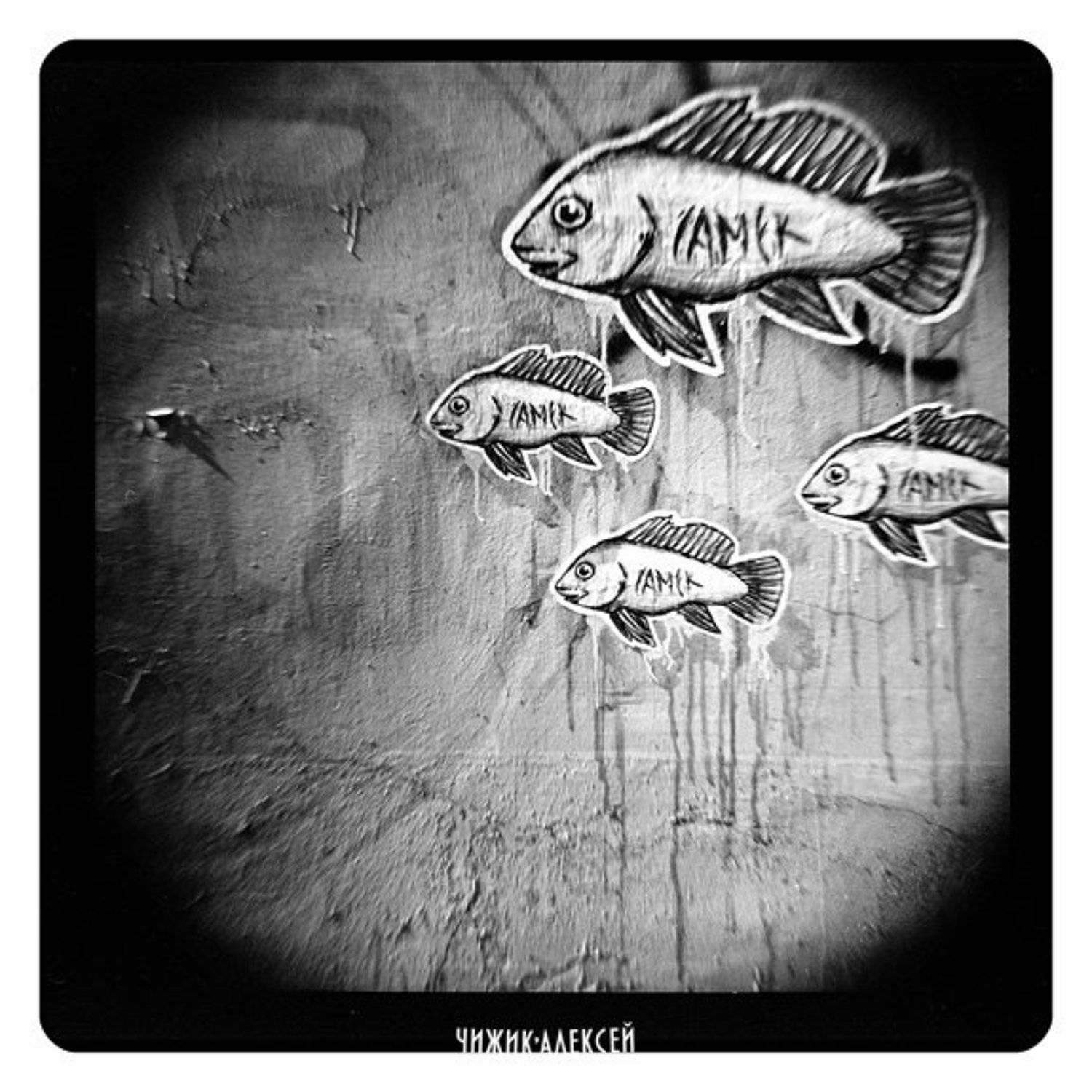 lomo, я увижу нас, но без меня